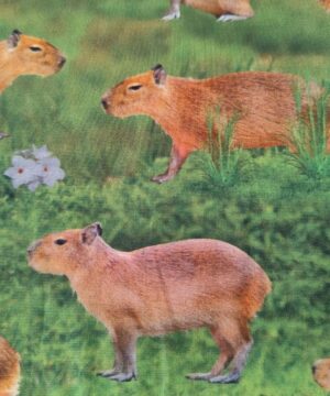 Estampa Capivaras